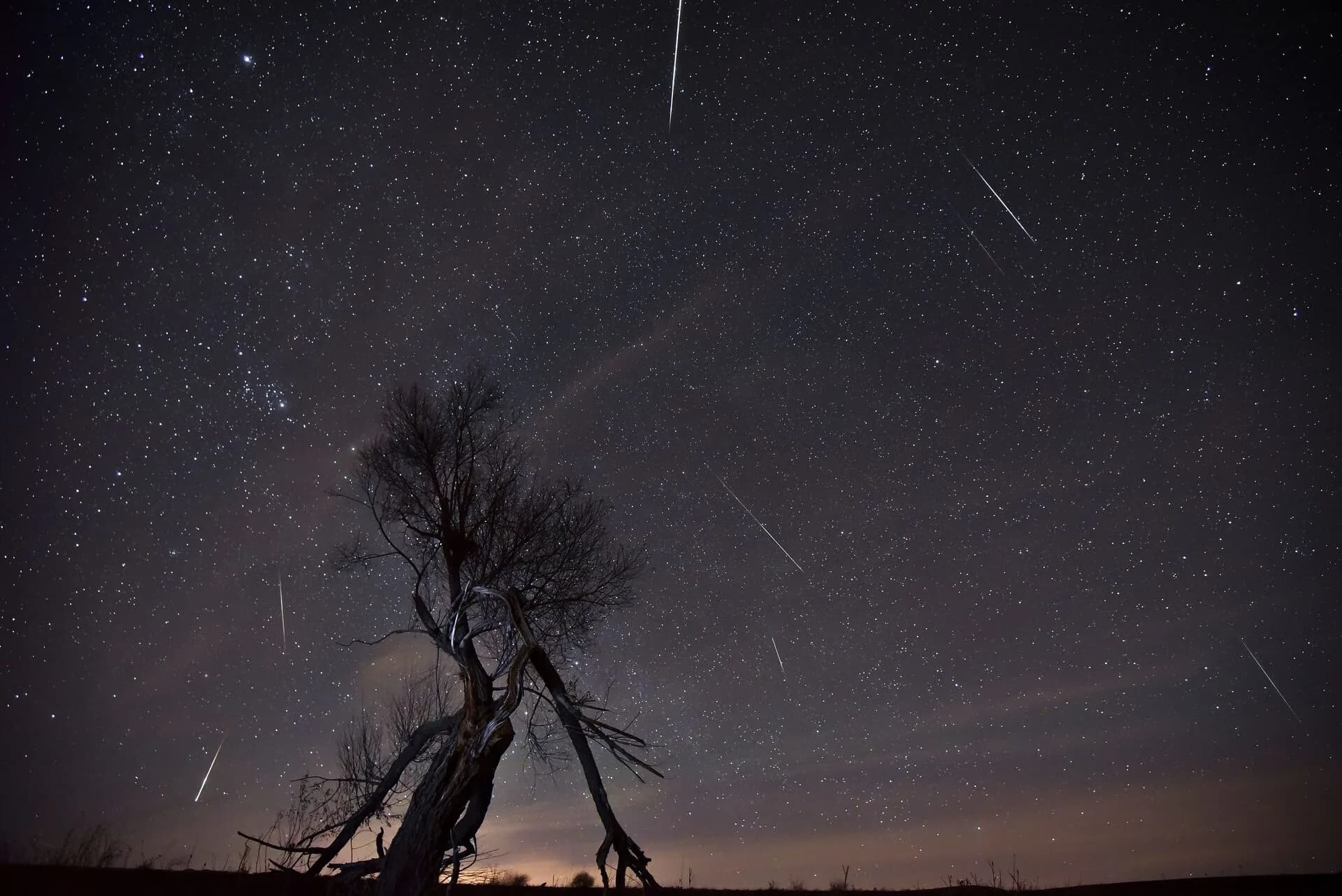 Perseid Meteor Shower 2026: New Moon, Zero Interference, and an Eclipse the Same Day