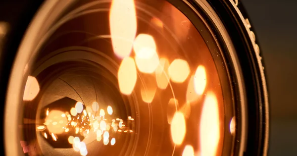 Best Portrait Cameras in 2026: Ranked by What Photographers Actually Need