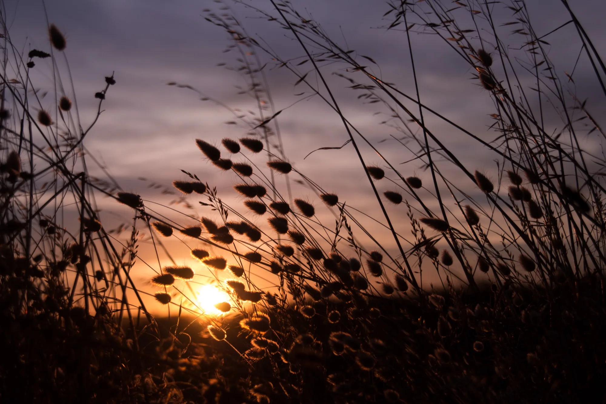 Golden Hour Photography: Why the Best Light Lasts Minutes, Not Hours