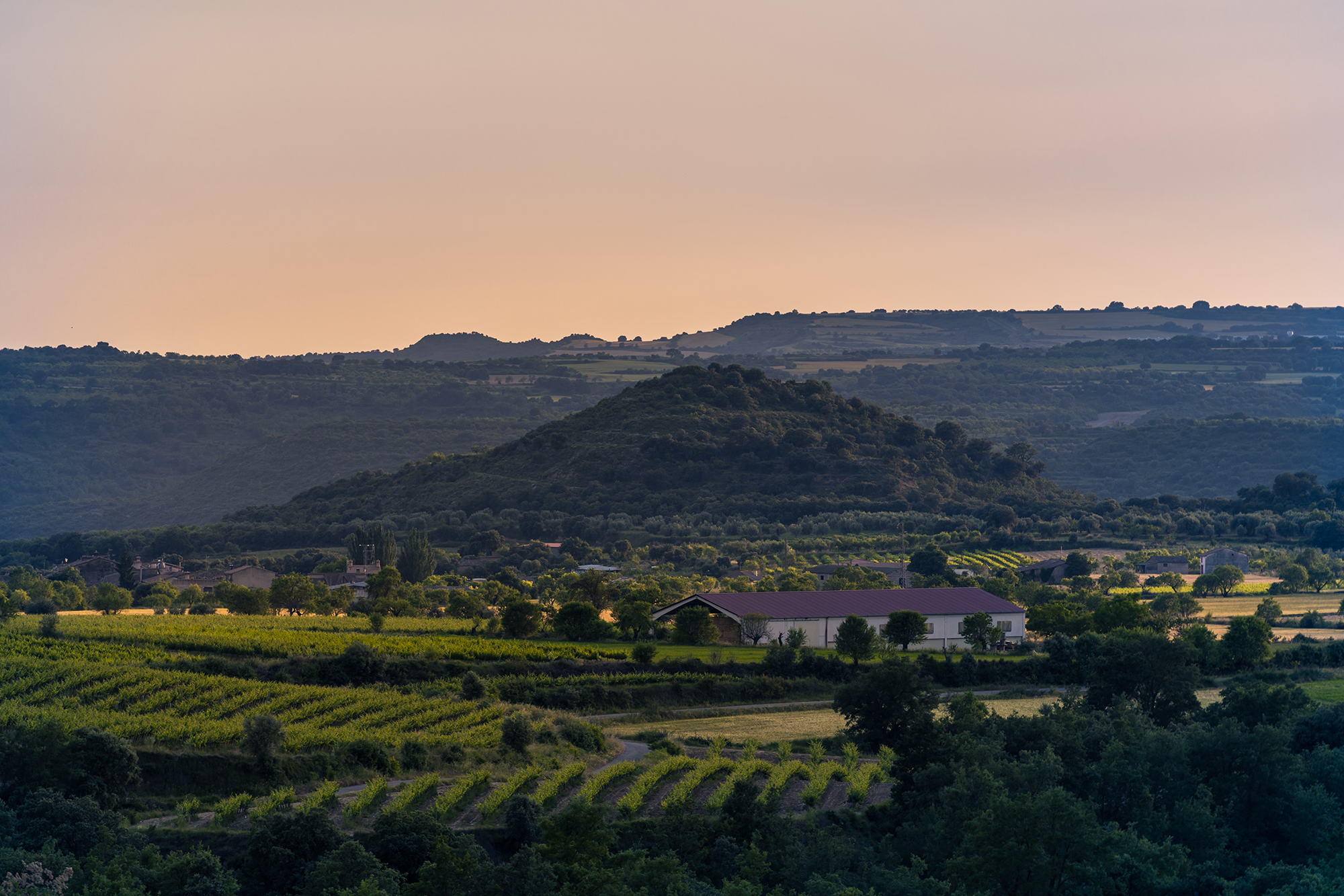 Rural landscape near Huesca at golden hour