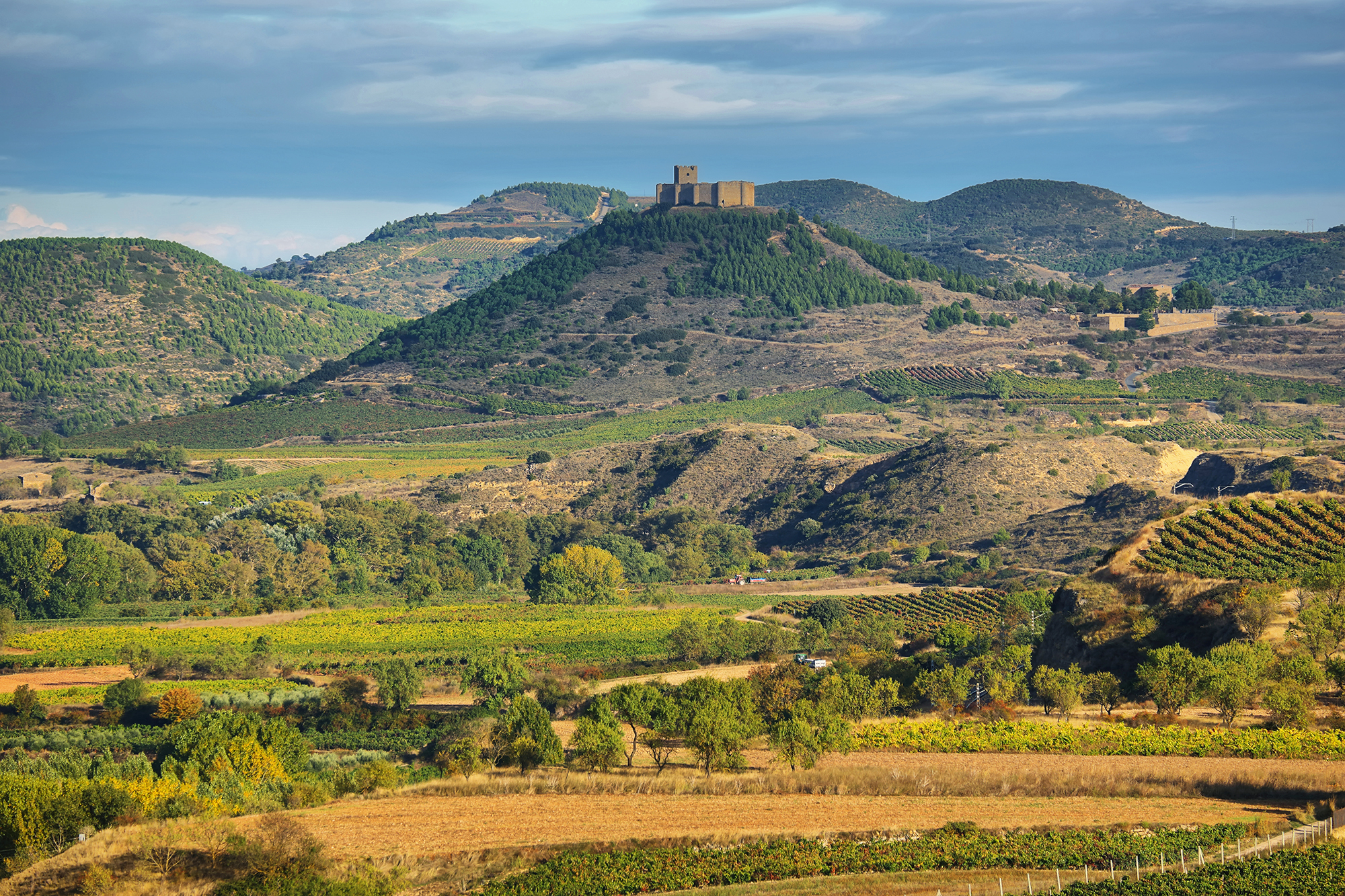 Vineyards and hilltop castle in La Rioja, on the path of totality