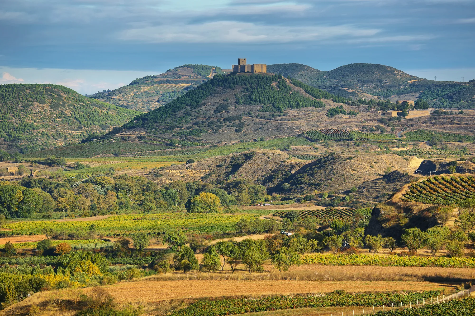 Viñedos y castillo en La Rioja, dentro de la franja de totalidad